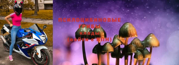 молекула духа Бронницы