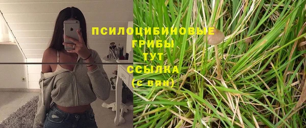 молекула духа Бронницы