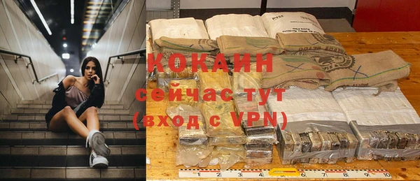 молекула духа Бронницы