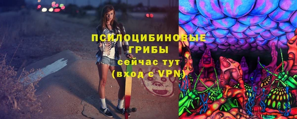 гидра Бугульма