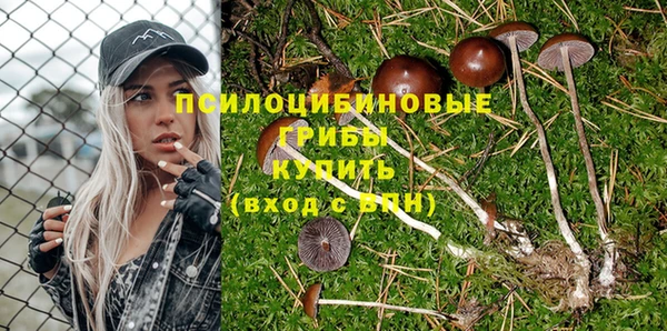 MDMA Premium VHQ Бородино